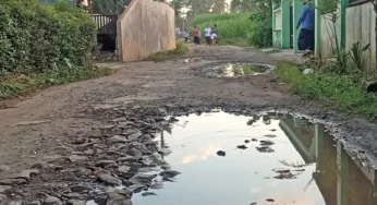 Viral! Penjual Bakso di Malang Rogoh Rp1,7 Miliar untuk Perbaiki Jalan Desa, Kisahnya Bikin Terharu