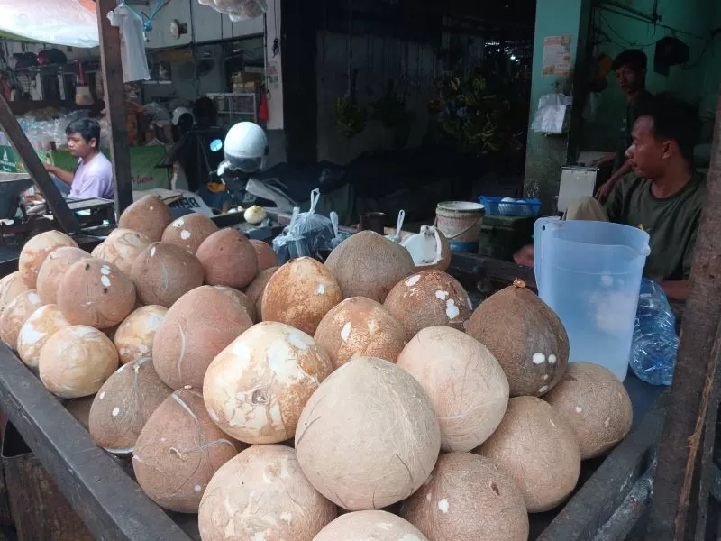 Ekspor Kelapa