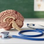 Fase Perkembangan Otak Manusia dan Mengapa Puncaknya Terjadi di Usia 30-an