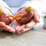 5 Kebiasaan yang Dianggap Sehat tapi Ternyata Bisa Merusak Ginjal