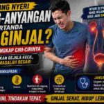 Kencing Nyeri dan Anyang-anyangan, Benarkah Tanda Batu Ginjal?